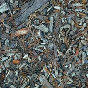 Electric Smoker Wood Chips: All You Need to Know