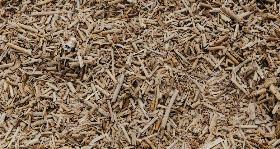 Soaking Wood Chips for Electric Smokers - Required or Not